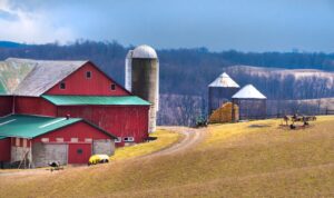 red barn during daytime